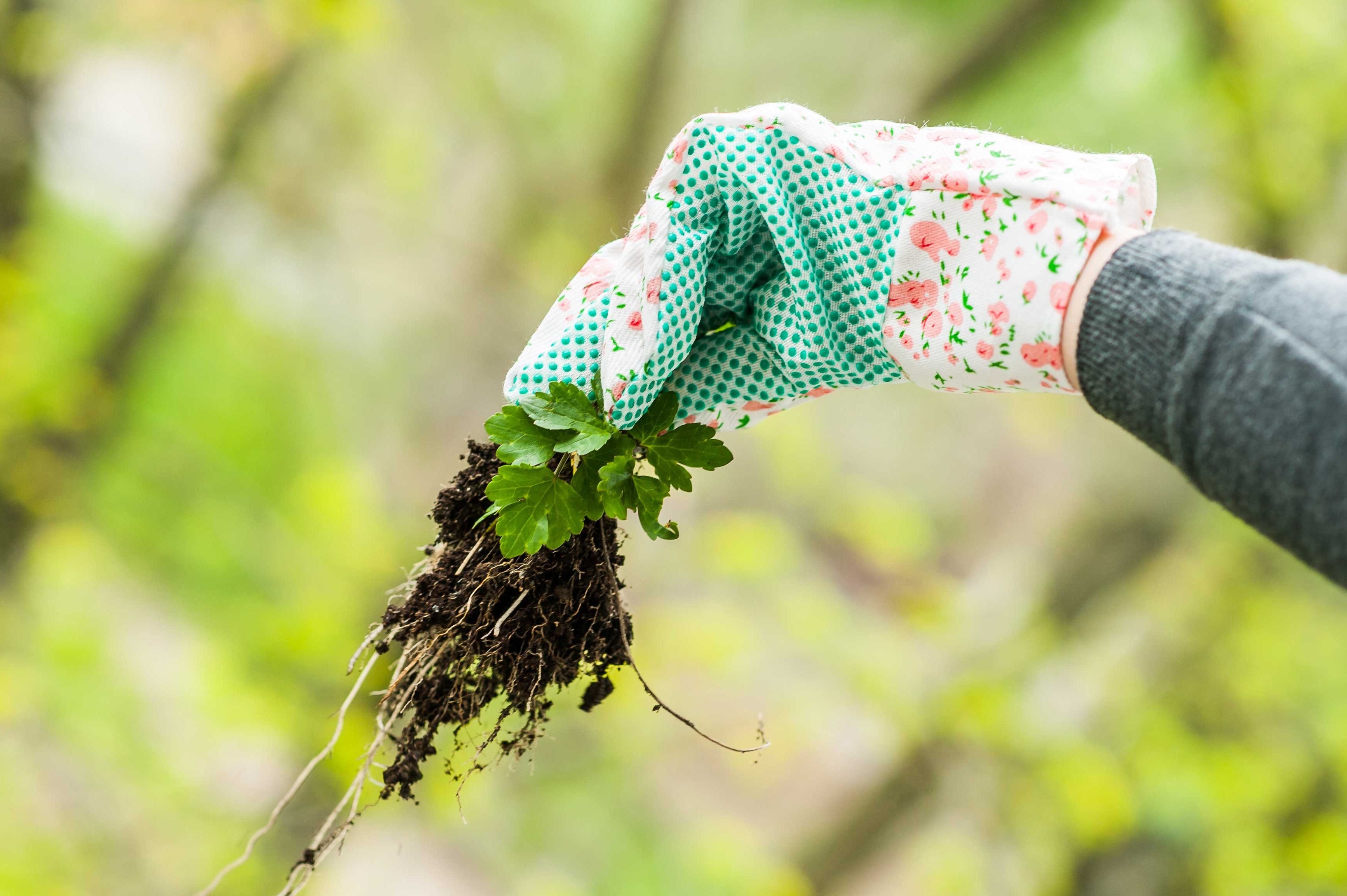 Green use. Перчатки для прополки травы. Pulling the Weeds. Weeding out. Get rid of Weeds.