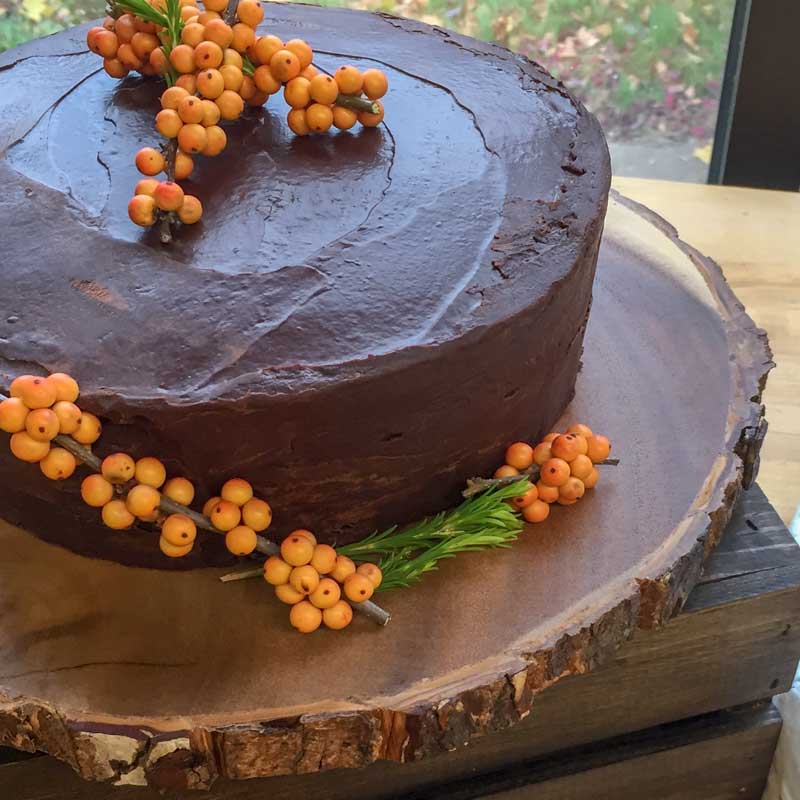 Chocolate Pumpkin Cake Chocolate Pumpkin Cake